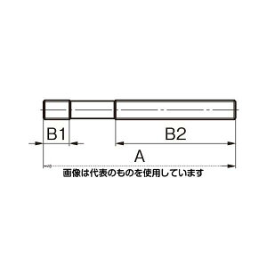 GXR M20x250mm X^bh{g EA637GF-250 F1
