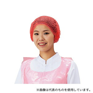 p D93530(W) ĝăJ[uLbv bh 100