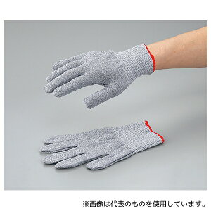 Ag HG-77 ϐؑn(XyNgK[h 13G) L