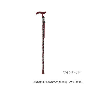 tWz[ WB3757 ANeBuO[X(Lk) ubN