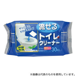 aH 15-054 gCN[i[(^Cv) 1(30)