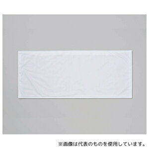 ~}Y 605 N[^I 30×70cm 1(10) [zi]