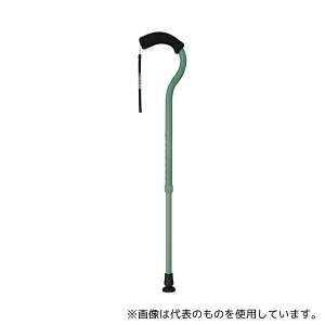 tWz[ WB3883 t~SN Lk tHXgO[