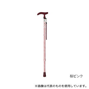 tWz[ WB3751 ANeBuO[X(Lk) p[v