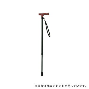 ひまわり VH2410 2段伸縮ステッキ(ささえ雨にも負けず) 黒