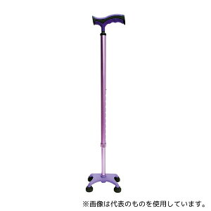 �Ђ܂�� R08101 �J���[4�_�� �p�[�v��