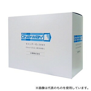 AWXg(q) 2543 ZR_[[ 300×20