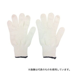 ~^jR[|[V 202399 VmR 2{҂(LLTCY)1g(12o)