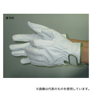 xm܍H 9131 gN XL[   M (1og×10)