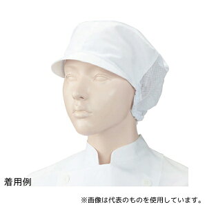 KAZEN APK484-10 t[ lbgtLbv2  t[