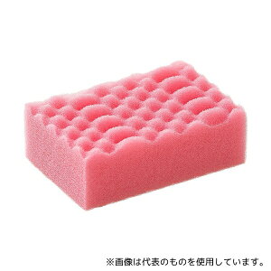 LN JSP2003 LNPRO X|W