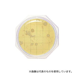 Ã_CAOmXeBNX 6791 N[X^v25ujbXCv SCDV(ʐېp) 30