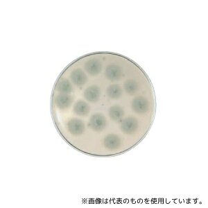 �x�N�g���E�f�B�b�L���\�� 252586 BD BBL(TM) �T�u���[�f�L�X�g���[�XLP���V�|�n RT 1��(1�{×100����)