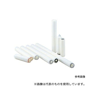 ADVANTEC 21222114 g[Z TCPE-30-D1FN