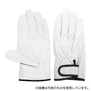 ACE() AG523-M ؃NXg }WbNe[v Aet MTCY