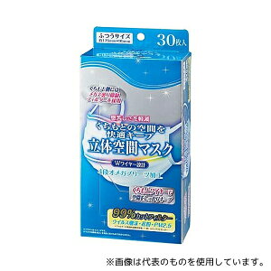 fBgXg 100319 ̋ԃ}XN ӂ 30