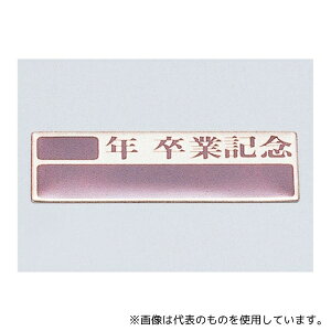 アーテック 47100 卒業記念プレート(10枚組)アルミ製