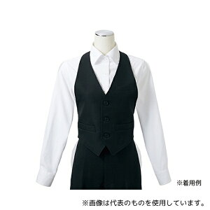 Zu GS6581-1 L J}[xXg jp 