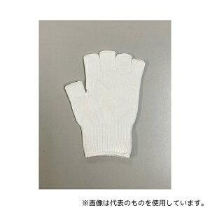 xm܍H May-00 yƎ hCo[̗F 5{wo t[TCY