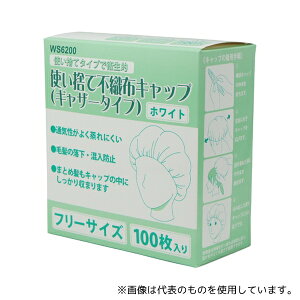 ACE() WS6200 ĝĕsDzLbv MU[^Cv 100