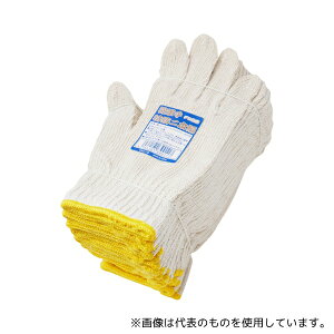 ACE() AG110 ȓR a2{ 7Q[W 12o 600g