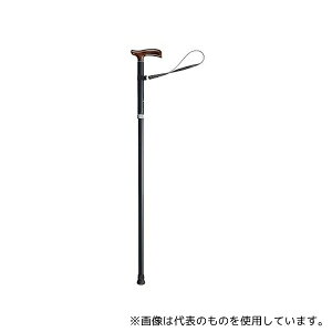 cӃvX PC L n 7-5495-05