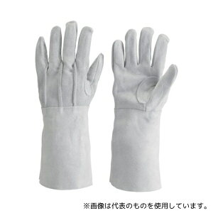 gXRR JT-5L v ^Cv t[TCY