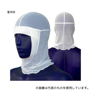 VQ ET7560V2-01 wAlbg Ver.2 zCg L 1g(10)