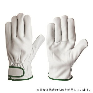 V CG-725 3L {v(}WbN^Cv) CG[725 3L