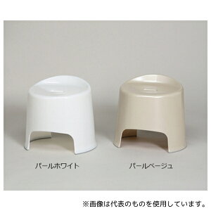 ACXI[} BI-300AG p p[x[W