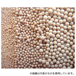 ��ǃZ���~�b�N�X ZO0608 �W���R�j�A�r�[�YZO ��0.7mm