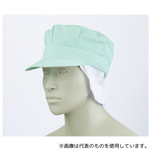 Zu 9-1067 t[ VbVpXqt O[ GR