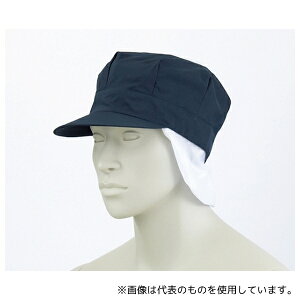 Zu 9-1069 t[ VbVpXqt lCr[ GR