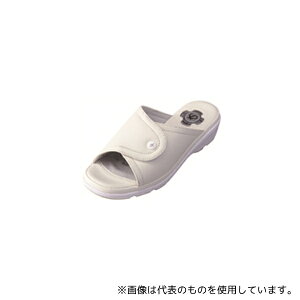 _C}c PW8511 M sAEH[J[ zCg M