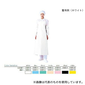 RE E1001-1-LL }CeBNX(R)Gv  | u[ LL