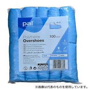 p R21233AX V[YJo[ u[(100)