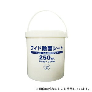 �������f�B�J�� ���C�h���ۃV�[�g 1��(250����)