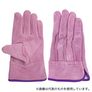 ACE() AG2551-S nq v IC OD  sN pSTCY