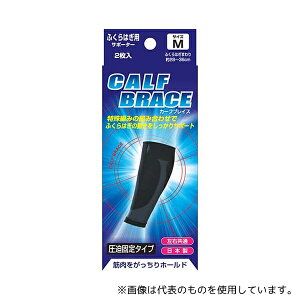 V 16310 uCXT|[^[ ӂ͂ M 2