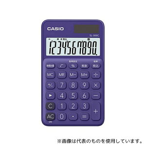 JVI SL-300C-PL-N 蒠^Jtd(10) (p[v)