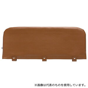 ߗ 101 TCh[NbVJo[  L uE