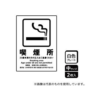 KALBAS KTK3102 �v���[�g �i����(20�Ζ����̗���������) 2����