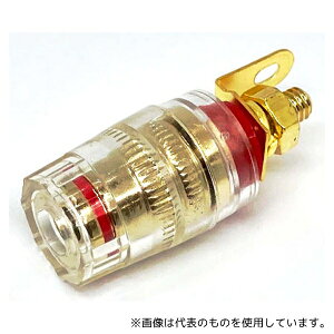 dqY GST-B77J-RD 4mmoiiWbNtbLXs[J[^[~i  