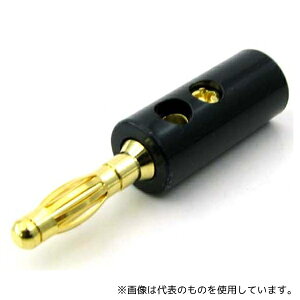 dqY WTN-06-1005G-BK2P 4mmlW~ߎoiivObL  2