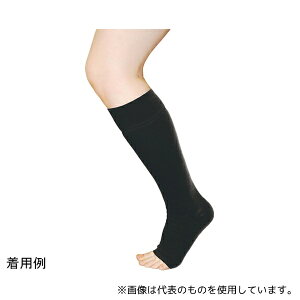 x[eEvX SVE12L \tB[VE XgO ubN LTCY 2{