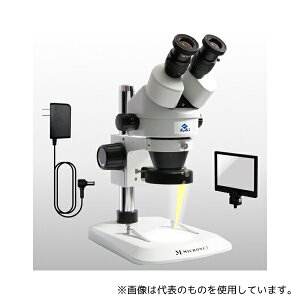 }CNlbg YS02Z2+4SEASONS Y[̌ Y2 + LEDOƖ(4_)