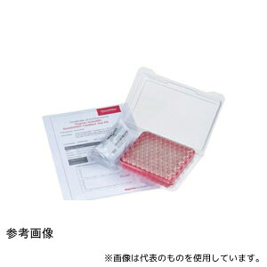 Thermo Fisher Scientific 6PCK578W LC/GC�F�ؕt�X�N�����[�o�C�A���L�b�g ���� 2mL ��/��/�� 100�g