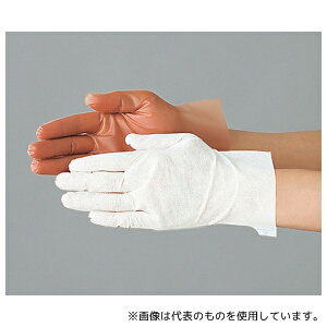 K[hi[ G5021 N[(F^Cv) GXpVI[lf LLTCY 1(100o)