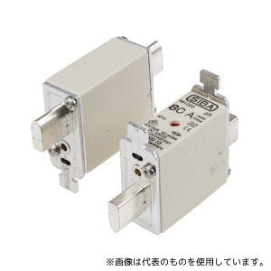 SIBA 20-000-13/80E1 �q���[�Y�����N 80A 500V ac 1��(3��)