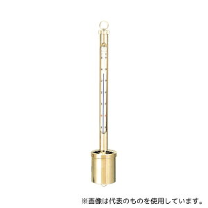 g[GCCg B2231 v